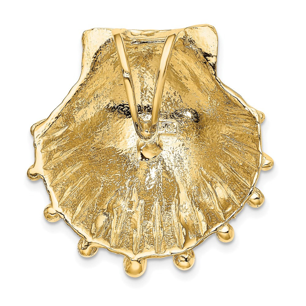 14K Yellow Gold Lion'S Paw Shell Slide