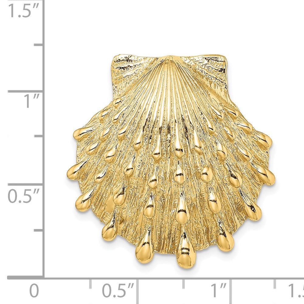 14K Yellow Gold Lion'S Paw Shell Slide