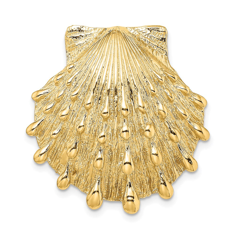 14K Yellow Gold Lion'S Paw Shell Slide