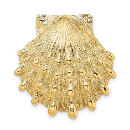 14K Yellow Gold Lion'S Paw Shell Slide