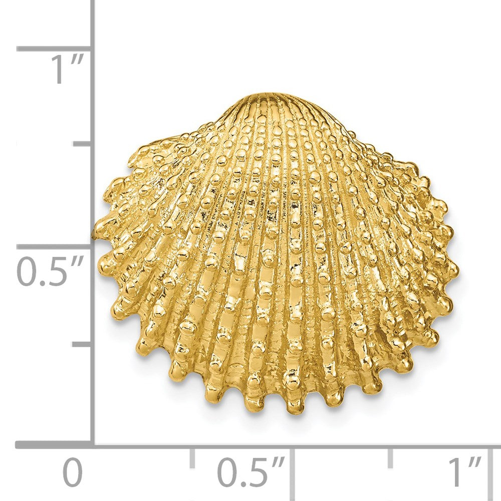 14K Yellow Gold Scallop Shell Slide