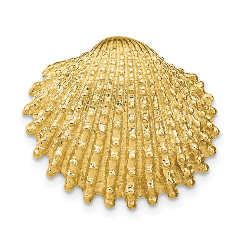 14K Yellow Gold Scallop Shell Slide