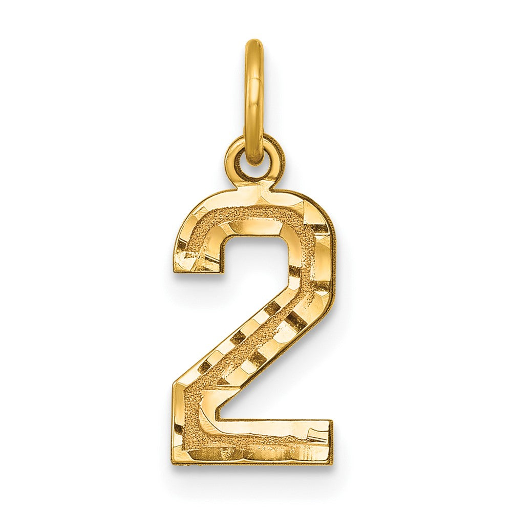 14K Yellow Gold Small Brushed Diamond-Cut Number 2 Charm
