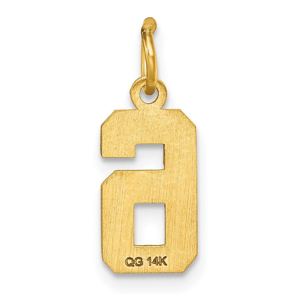 14K Yellow Gold Small Brushed Diamond-Cut Number 6 Charm