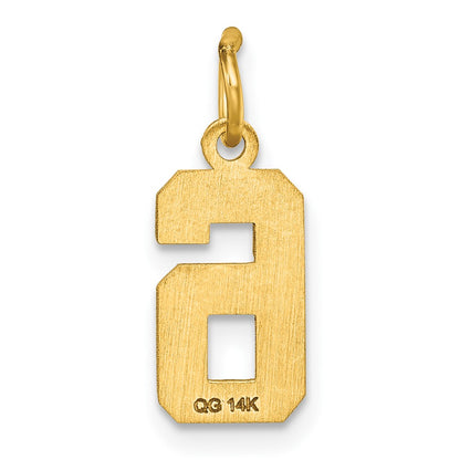 14K Yellow Gold Small Brushed Diamond-Cut Number 6 Charm
