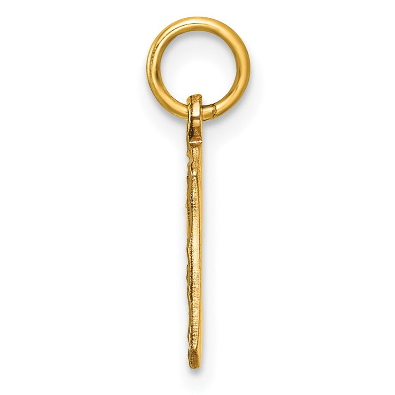 14K Yellow Gold Small Brushed Diamond-Cut Number 9 Charm