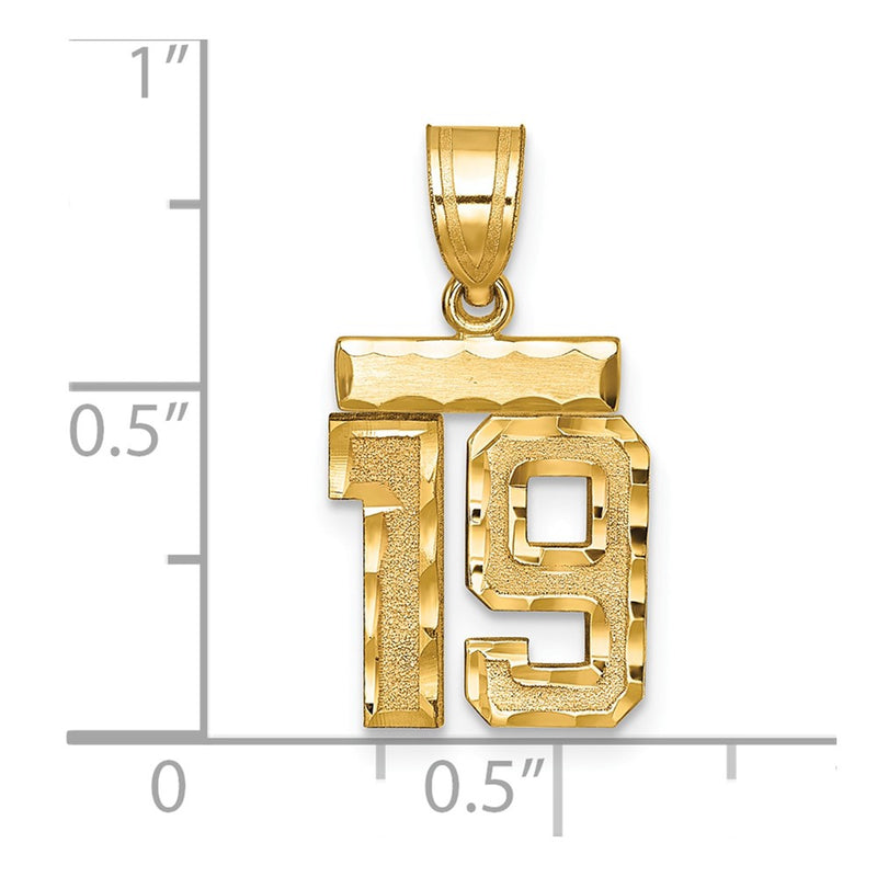 14k Yellow Gold Small Brushed Diamond-cut Number 19 Charm