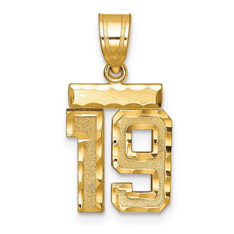 14k Yellow Gold Small Brushed Diamond-cut Number 19 Charm