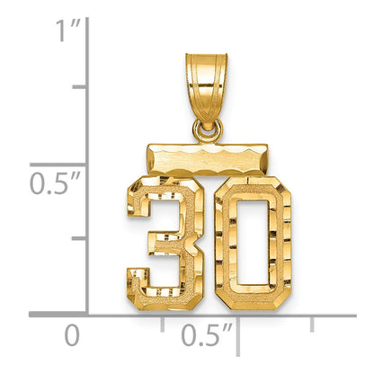 14k Yellow Gold Small Brushed Diamond-cut Number 30 Charm