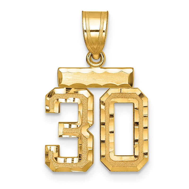 14k Yellow Gold Small Brushed Diamond-cut Number 30 Charm