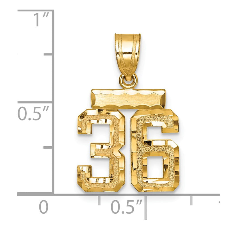 14k Yellow Gold Small Brushed Diamond-cut Number 36 Charm
