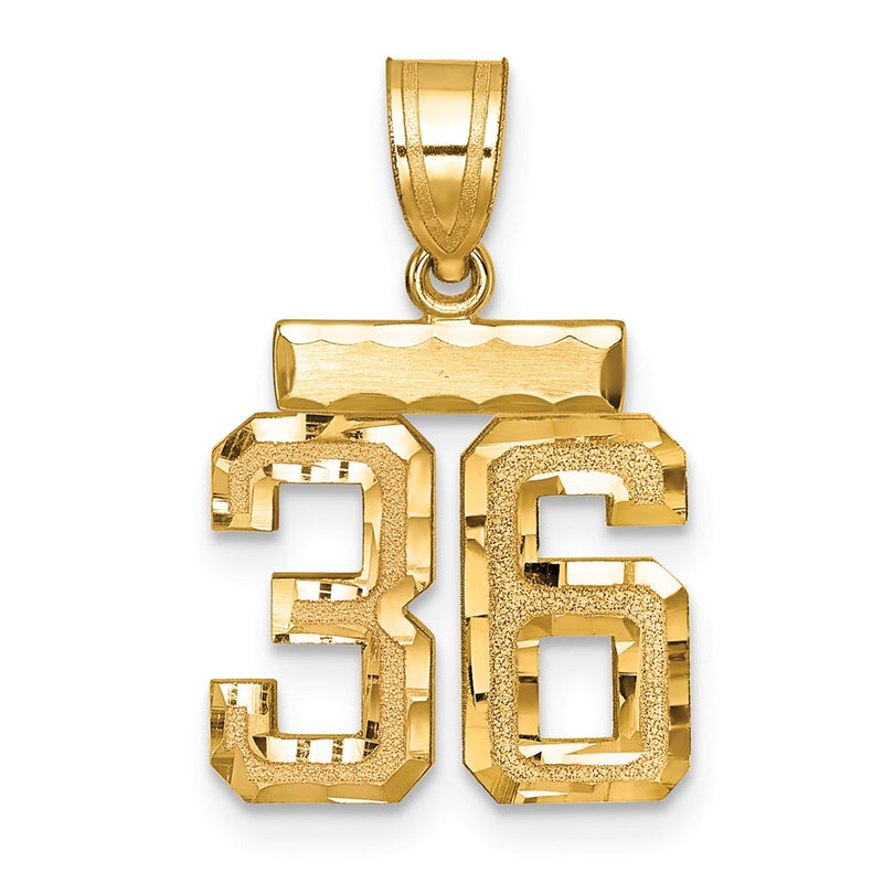 14k Yellow Gold Small Brushed Diamond-cut Number 36 Charm