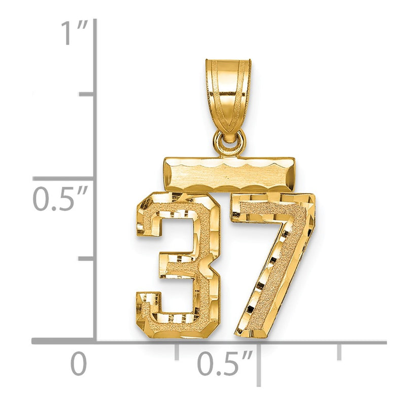14k Yellow Gold Small Brushed Diamond-cut Number 37 Charm