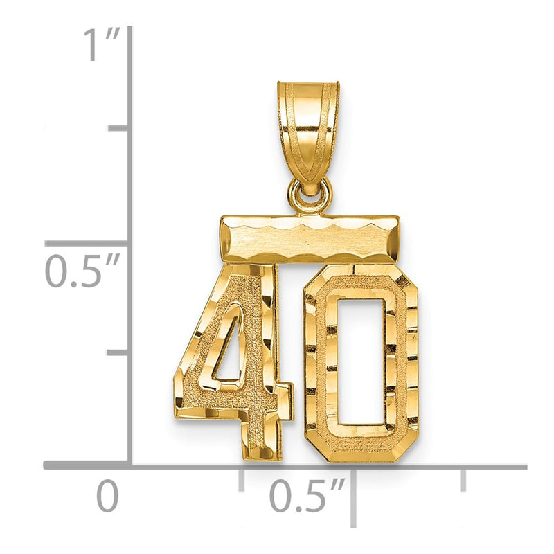 14k Yellow Gold Small Brushed Diamond-cut Number 40 Charm