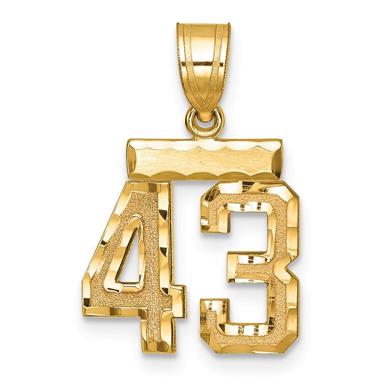 14k Yellow Gold Small Brushed Diamond-cut Number 43 Charm
