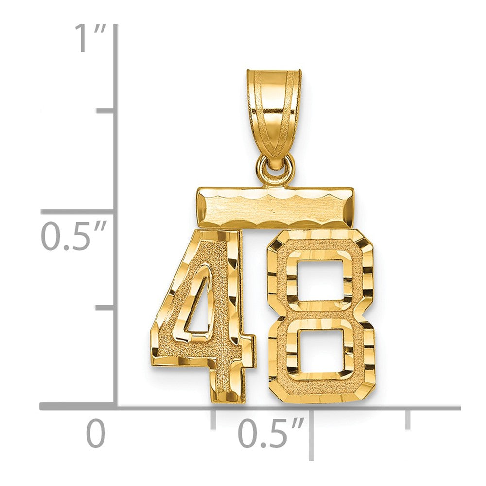 14k Yellow Gold Small Brushed Diamond-cut Number 48 Charm