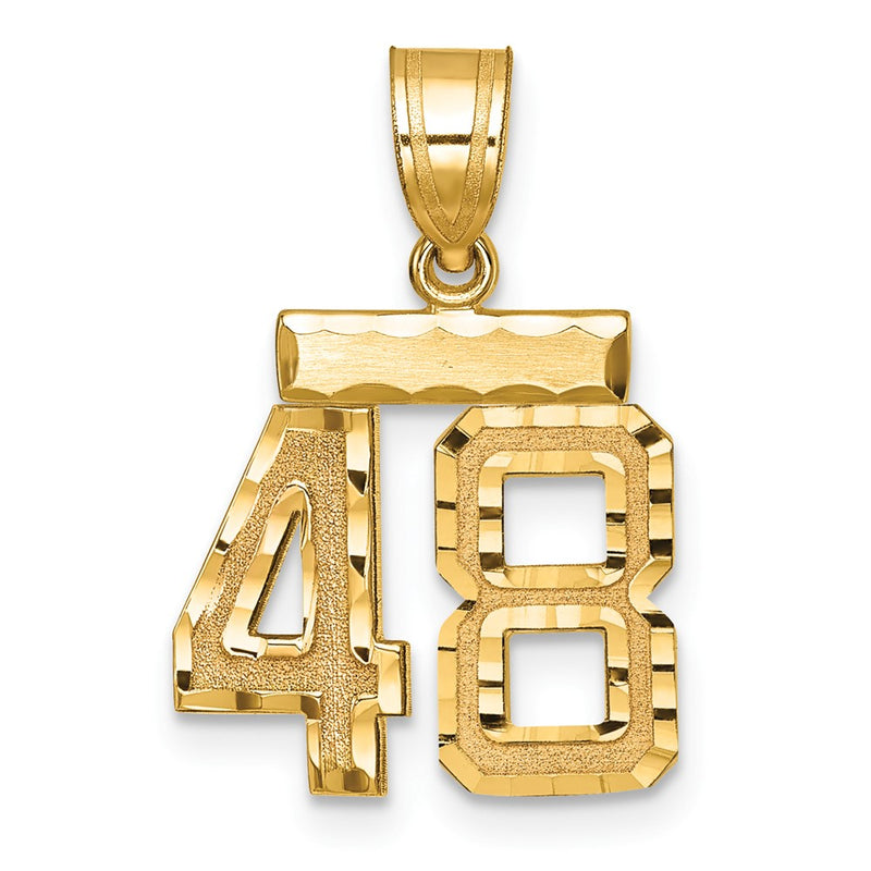 14k Yellow Gold Small Brushed Diamond-cut Number 48 Charm
