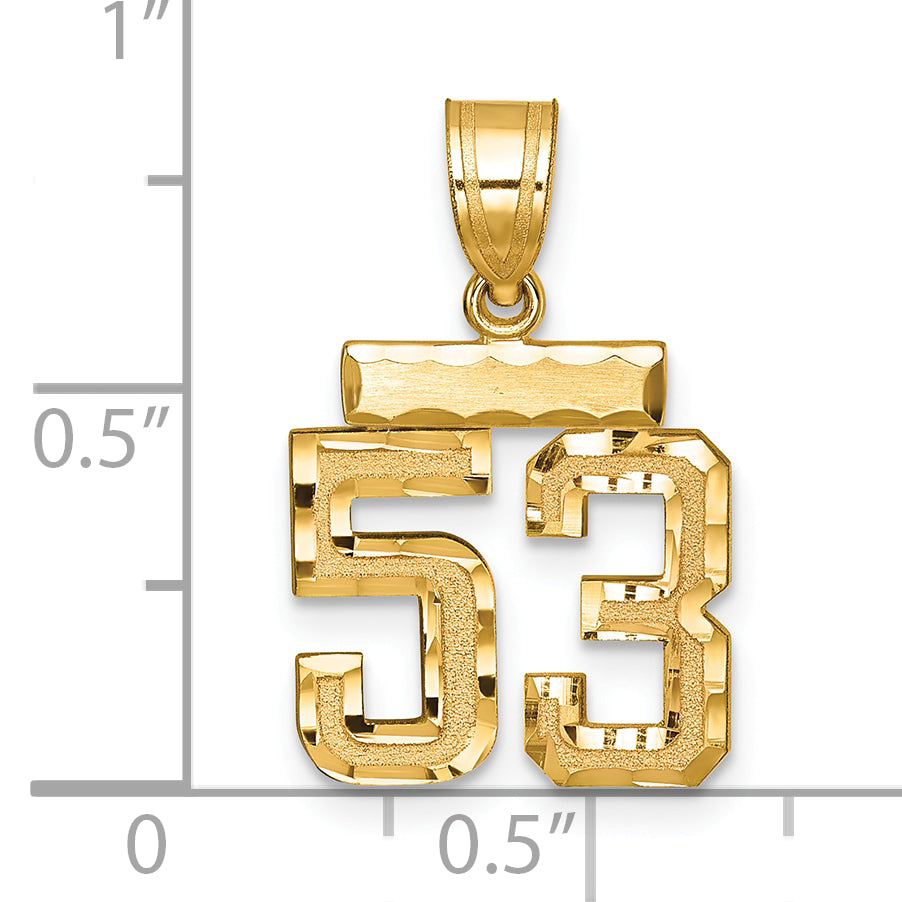 14k Yellow Gold Small Brushed Diamond-cut Number 53 Charm