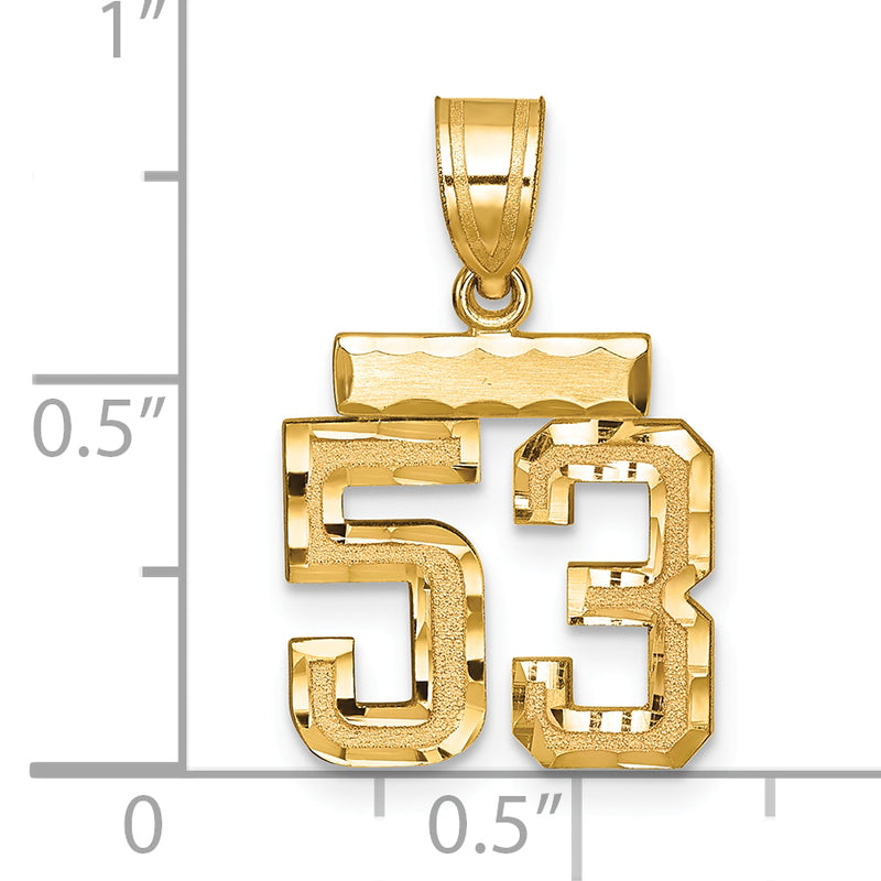 14k Yellow Gold Small Brushed Diamond-cut Number 53 Charm