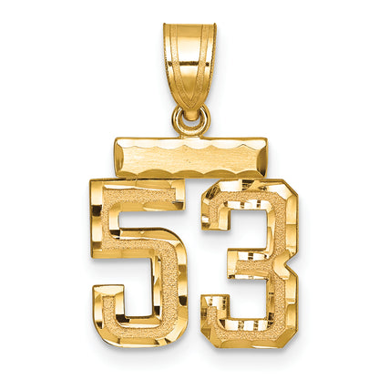 14k Yellow Gold Small Brushed Diamond-cut Number 53 Charm