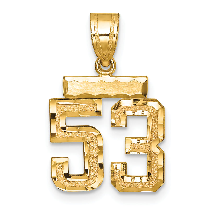 14k Yellow Gold Small Brushed Diamond-cut Number 53 Charm