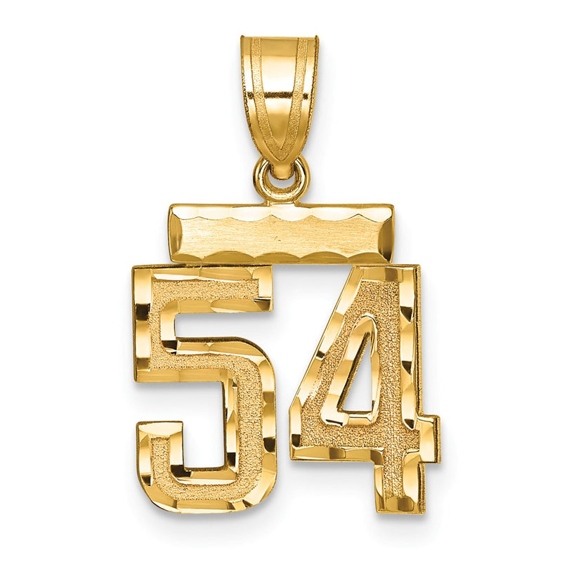 14k Yellow Gold Small Brushed Diamond-cut Number 54 Charm