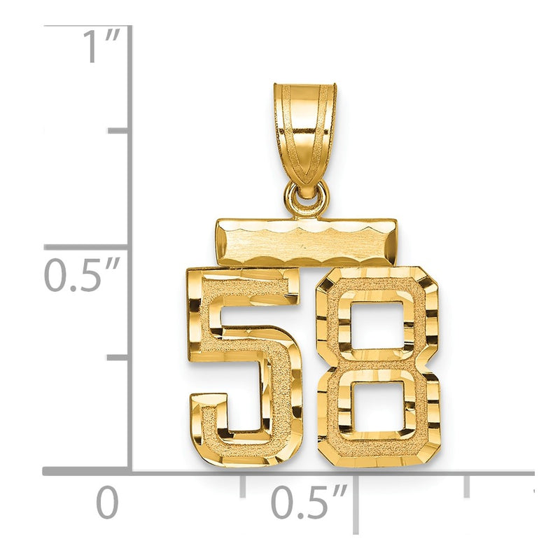14k Yellow Gold Small Brushed Diamond-cut Number 58 Charm