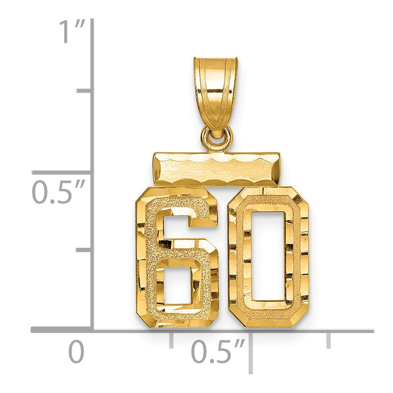 14k Yellow Gold Small Brushed Diamond-cut Number 60 Charm