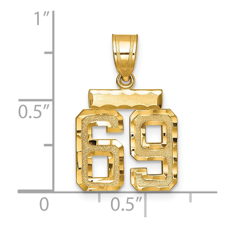 14k Yellow Gold Small Brushed Diamond-cut Number 69 Charm