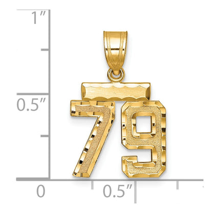 14k Yellow Gold Small Brushed Diamond-cut Number 79 Charm
