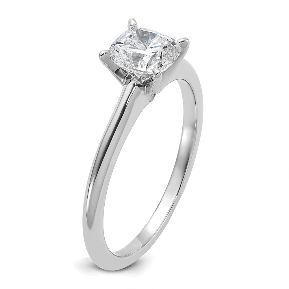 @requestparam vs @queryparam vs @pathvariable vs... 14K White Gold 1 carat Certified Lab Grown Diamond VS+ | Goldia.com