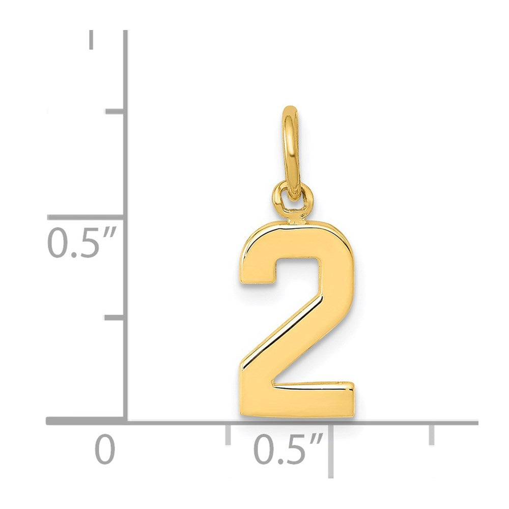 14K Yellow Gold Small Polished Number 2 Charm