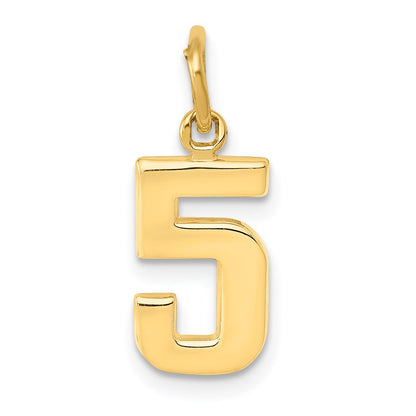 14K Yellow Gold Small Polished Number 5 Charm