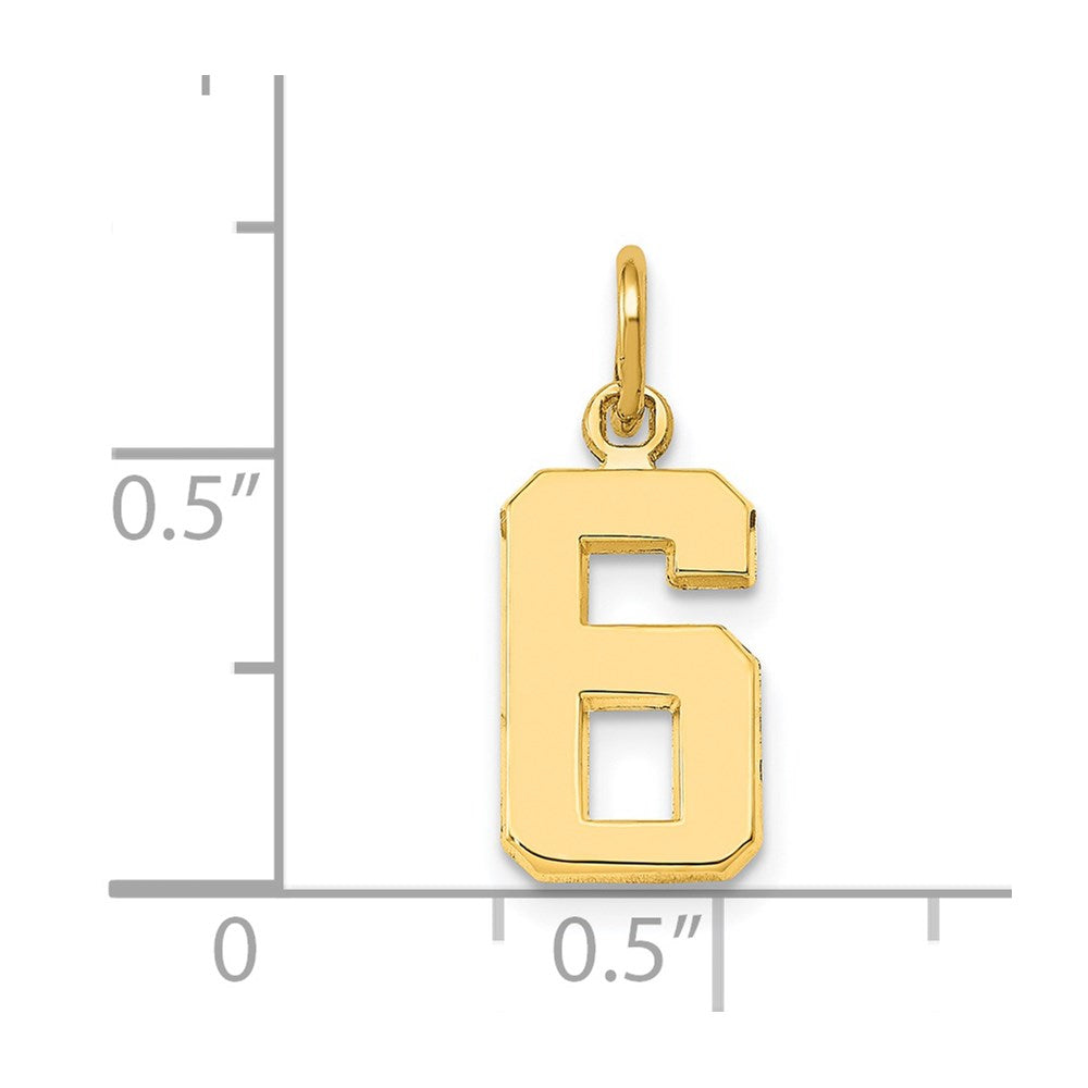 14K Yellow Gold Small Polished Number 6 Charm
