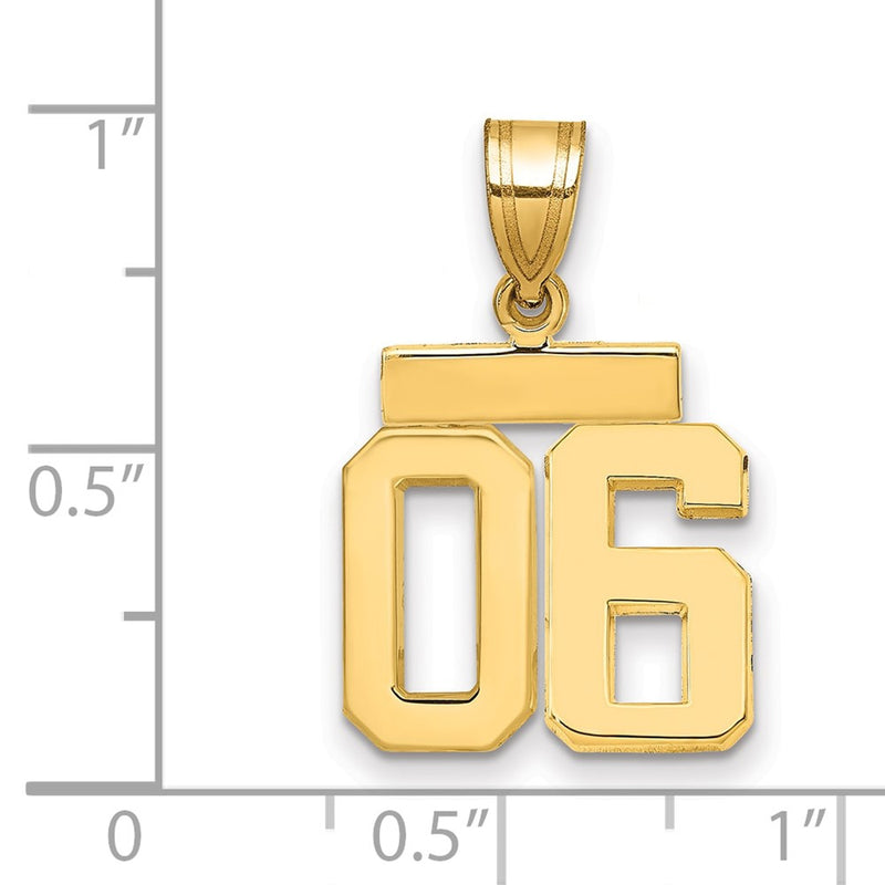 14k Yellow Gold Small Polished Number 06 on Top Charm