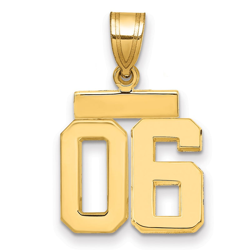 14k Yellow Gold Small Polished Number 06 on Top Charm