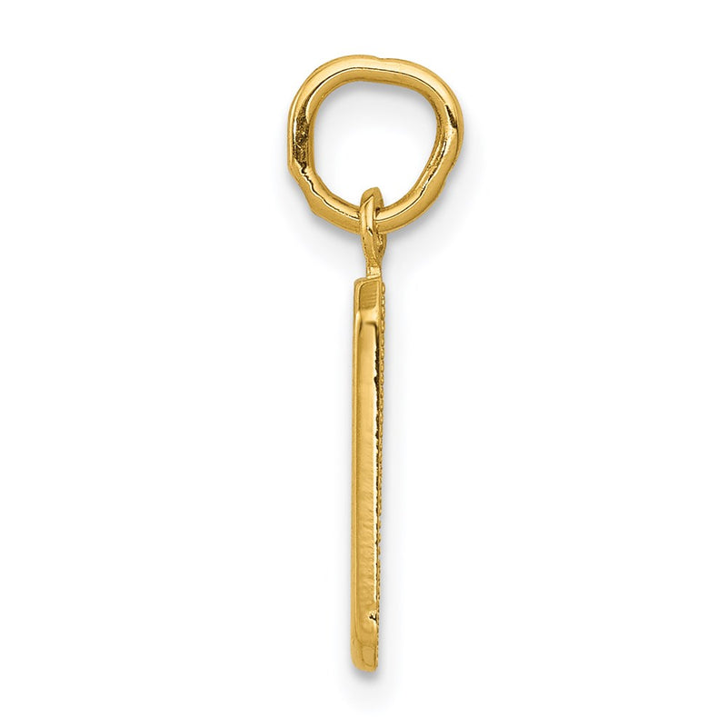 14K Yellow Gold Small Polished Number 9 Charm
