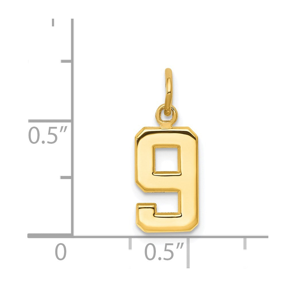 14K Yellow Gold Small Polished Number 9 Charm