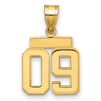 14k Yellow Gold Small Polished Number 09 on Top Charm