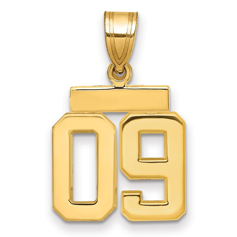 14k Yellow Gold Small Polished Number 09 on Top Charm