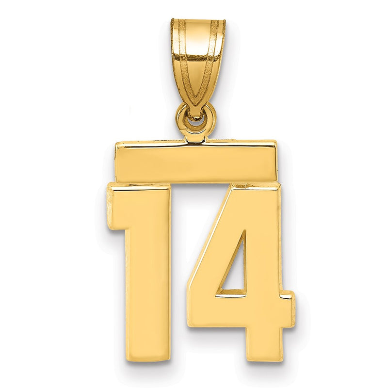 14k Yellow Gold Small Polished Number 14 Charm