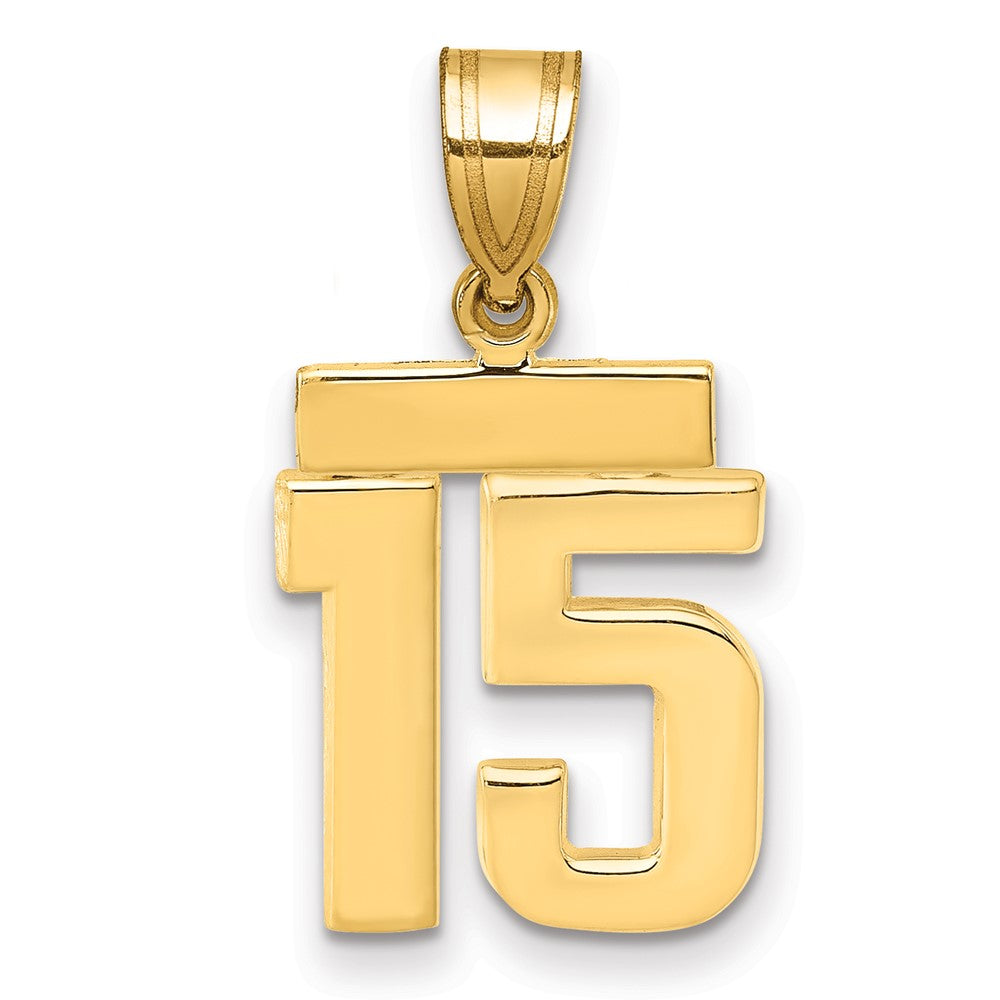 14k Yellow Gold Small Polished Number 15 Charm