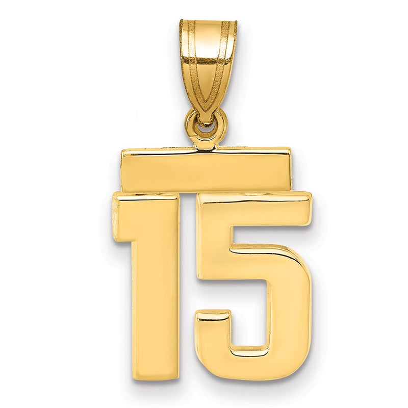 14k Yellow Gold Small Polished Number 15 Charm