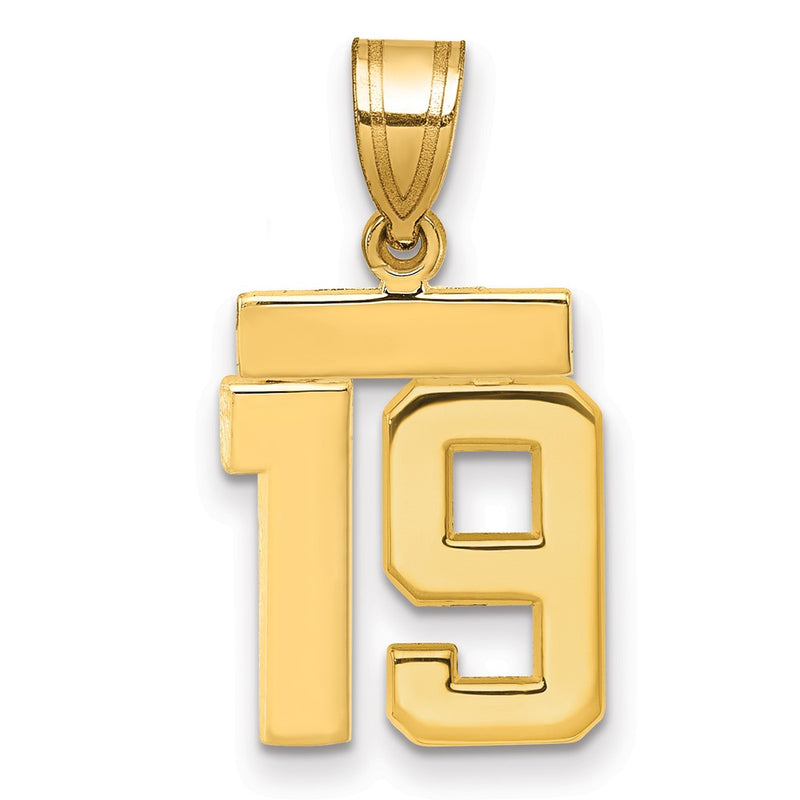 14k Yellow Gold Small Polished Number 19 Charm