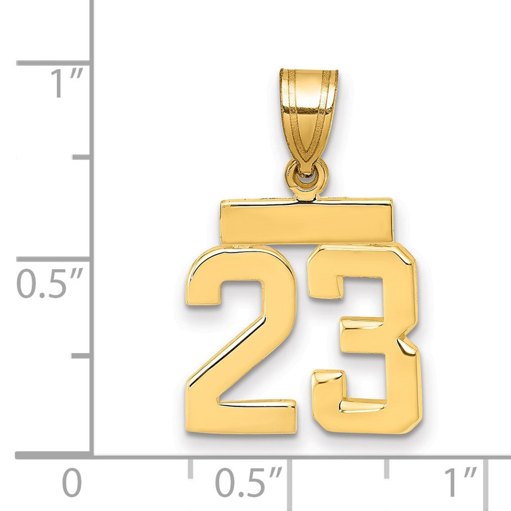 14k Yellow Gold Small Polished Number 23 Charm