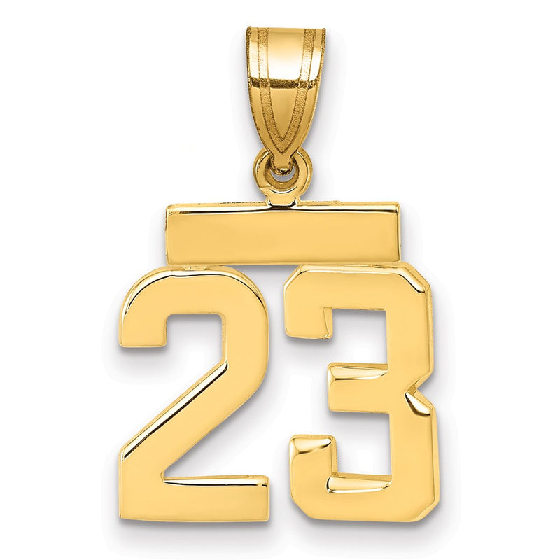 14k Yellow Gold Small Polished Number 23 Charm