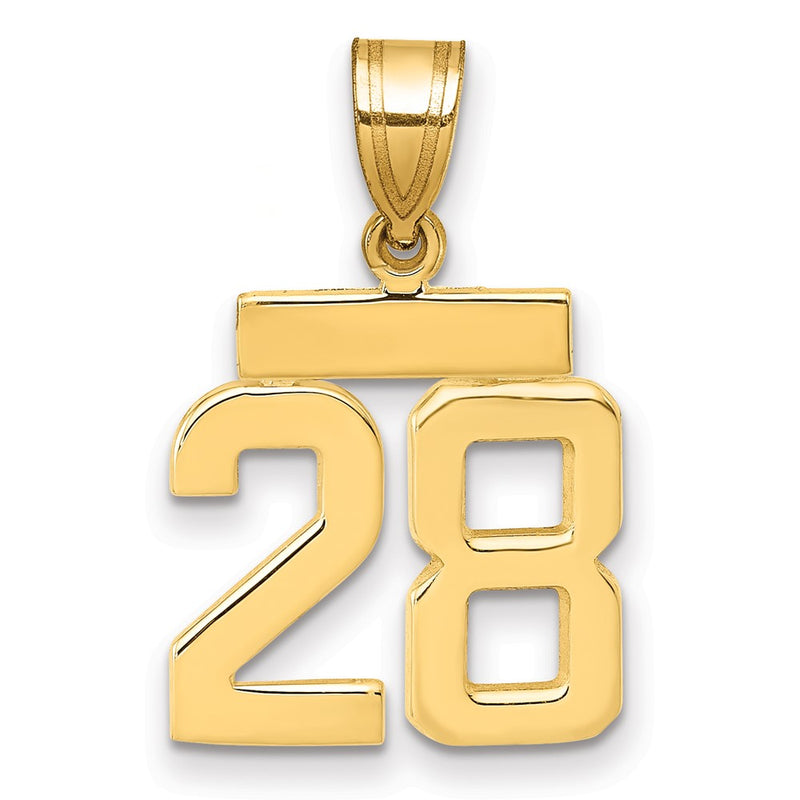 14k Yellow Gold Small Polished Number 28 Charm