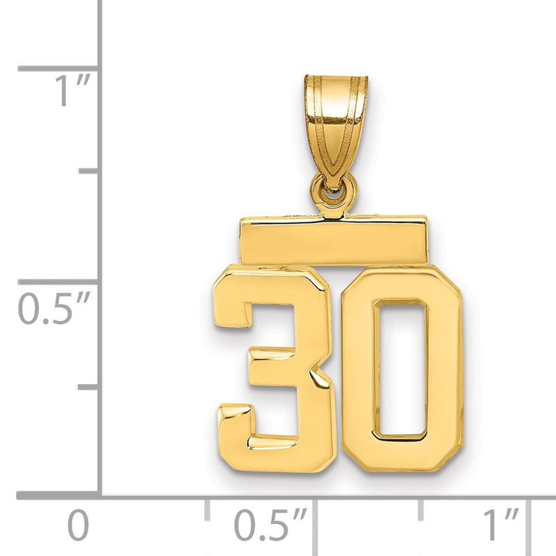 14k Yellow Gold Small Polished Number 30 Charm