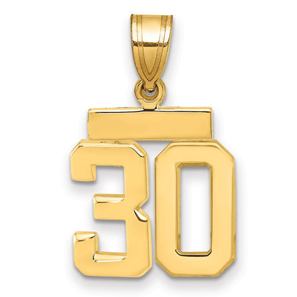 10K Yellow Gold Small Polished Number 30 Charm