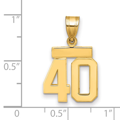 10K Yellow Gold Small Polished Number 48 Charm